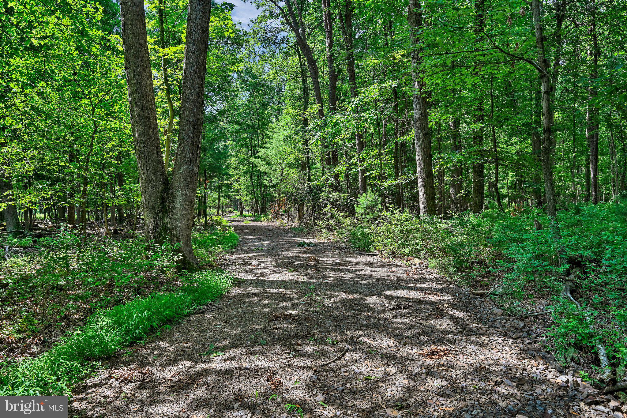 Rare opportunity to own 73.1 acres of pristine, wooded mountain land being offered as a package, including Tax ID 33-15-0091 and Tax ID 33-15-0084. Nestled at the base of Blue Mountain and surrounded by PA State Game Lands, this extraordinary property offers unmatched privacy, natural beauty, and recreational opportunities.
Travel nearly one mile along a winding private access road that leads to a breathtaking clearing tucked beneath the mountain. A crystal-clear creek meanders through the property, complete with a picturesque waterfall, creating a peaceful setting that feels worlds away from everyday life.
Outdoor enthusiasts will appreciate direct access to the Appalachian Trail, proximity to private hunting clubs, and outstanding deer hunting. The property has a remarkable hunting history, including the harvest of a Pennsylvania state record deer.
The established clearing features a rustic hunting cabin with a wood stove—an ideal base camp for hunting weekends or mountain getaways. The cabin does not have electricity, water, or sewer, allowing the next owner the flexibility to improve as desired.
With extensive road frontage on a public road, this unique property offers excellent access while maintaining exceptional seclusion. Whether you're seeking a private hunting retreat, recreational getaway, or spectacular homesites, the possibilities are endless.
Conveniently located just minutes from Interstates 78 and 81, you'll enjoy easy access while feeling completely immersed in nature.
If you've been searching for a truly one-of-a-kind mountain property where privacy, wildlife, and natural beauty come together, this is an opportunity you won't want to miss.