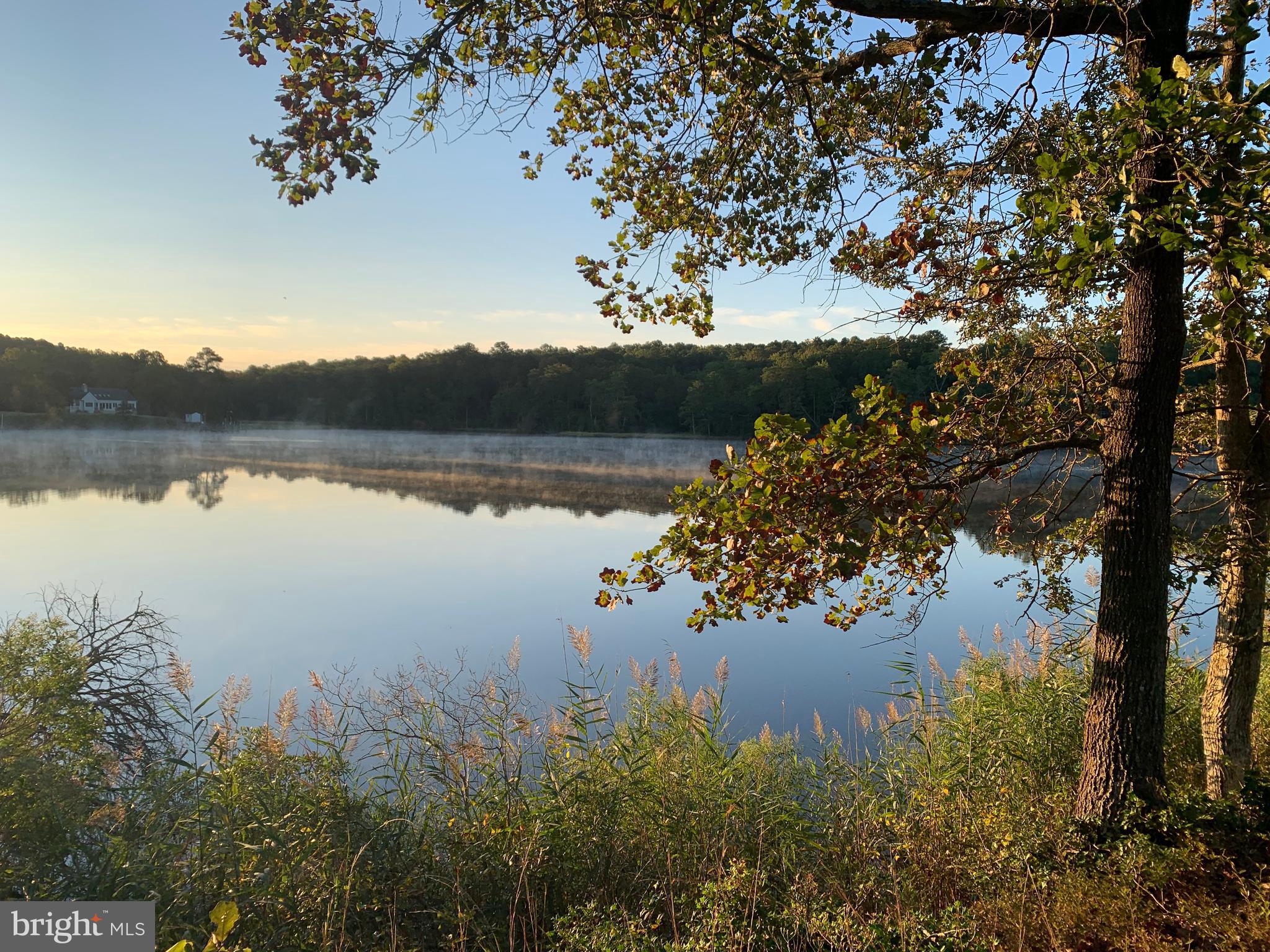 OLD ORCHARD - Land