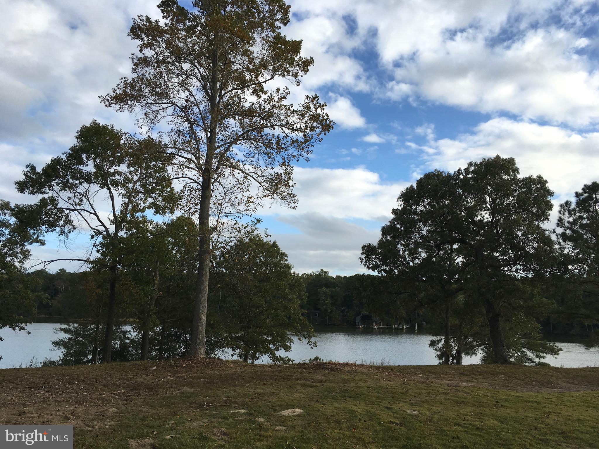 OLD ORCHARD - Land