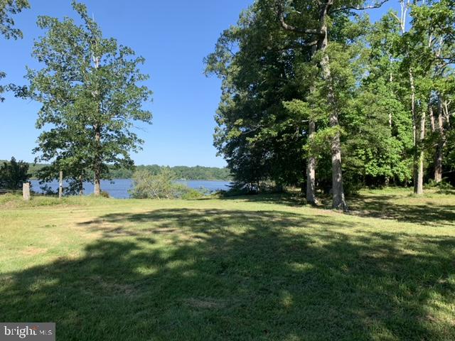 OLD ORCHARD - Land