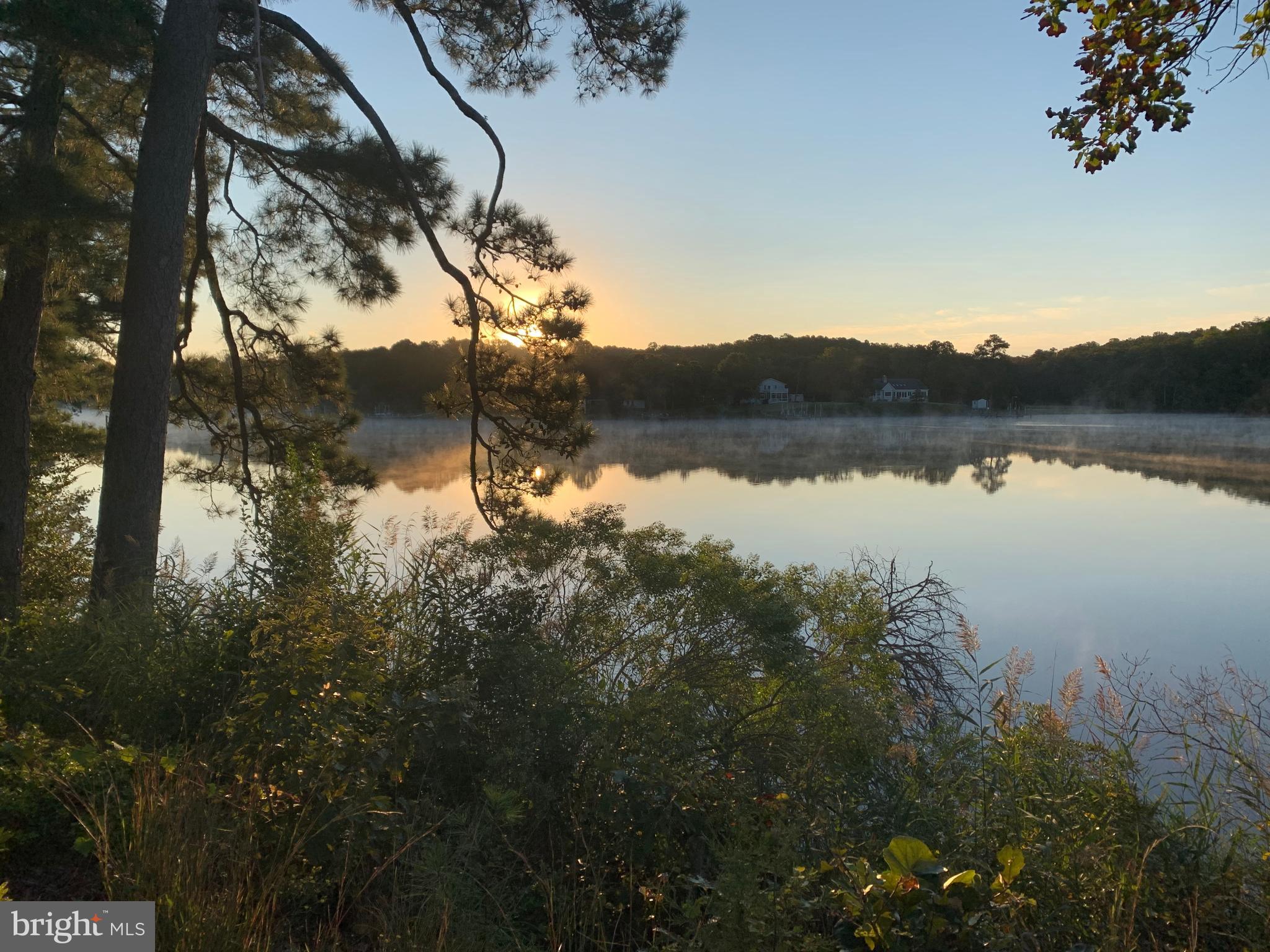 OLD ORCHARD - Land