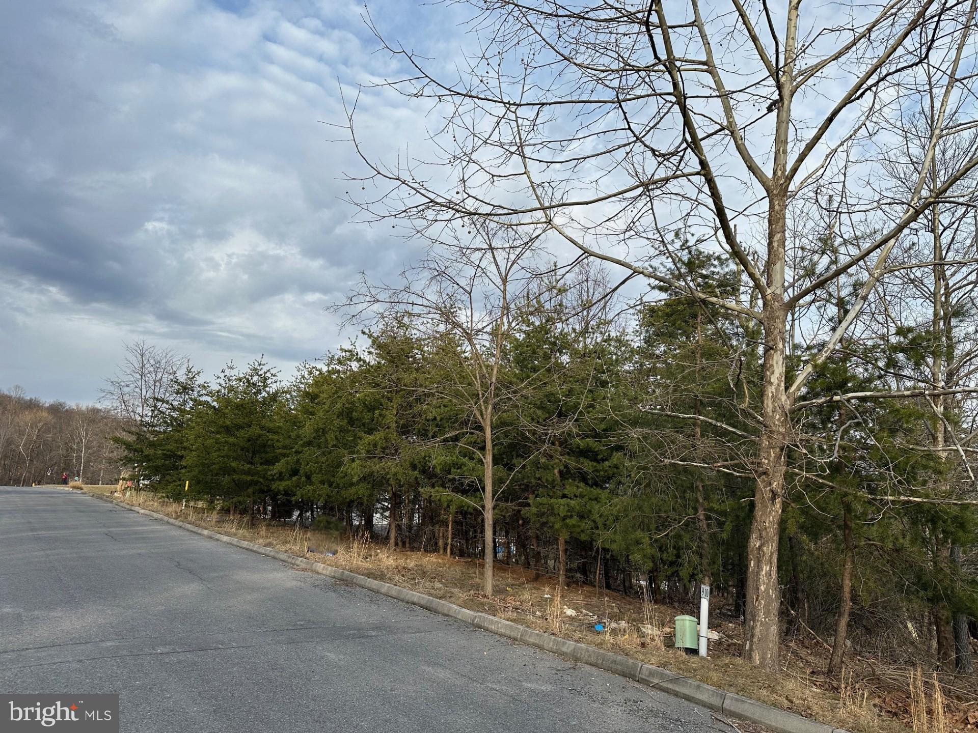 Build your new home in Cumberland's newest development The Pointe on Haystack. Spectacular views over the city from most lots. All infrastructure is in place with water, sewer, gas, electric and cable available. No HOA Fees. Conveniently located just minutes from both Cumberland and LaVale.