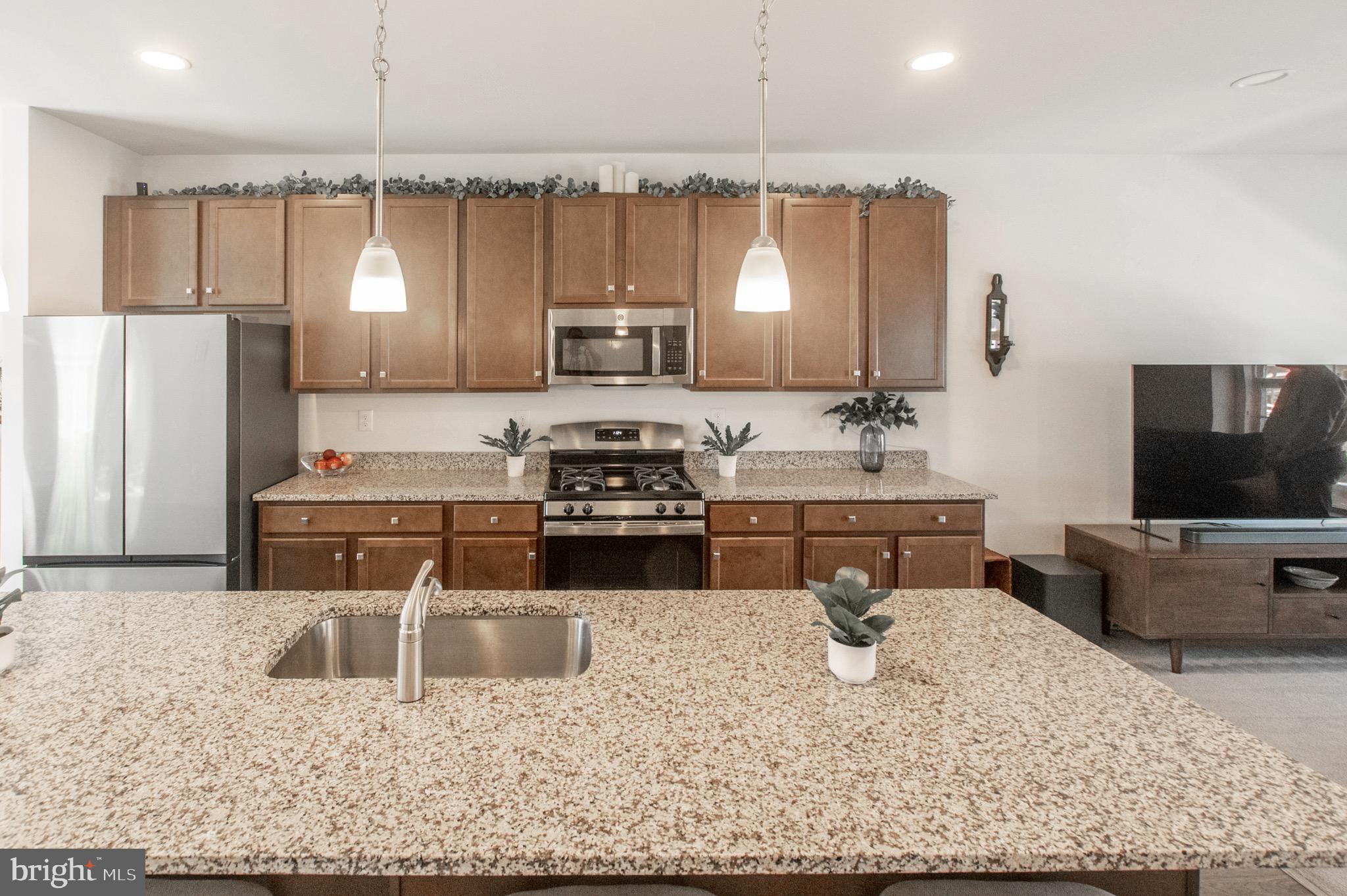 PRESERVE AT ROBINSON FARMS - Residential