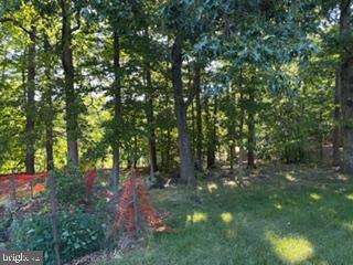 MARY-CATHERINE ESTATES - Residential