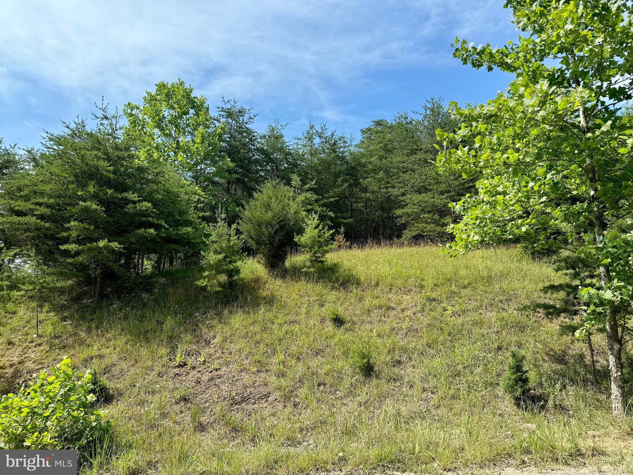THE CROSSING AT GREAT CACAPON - Land