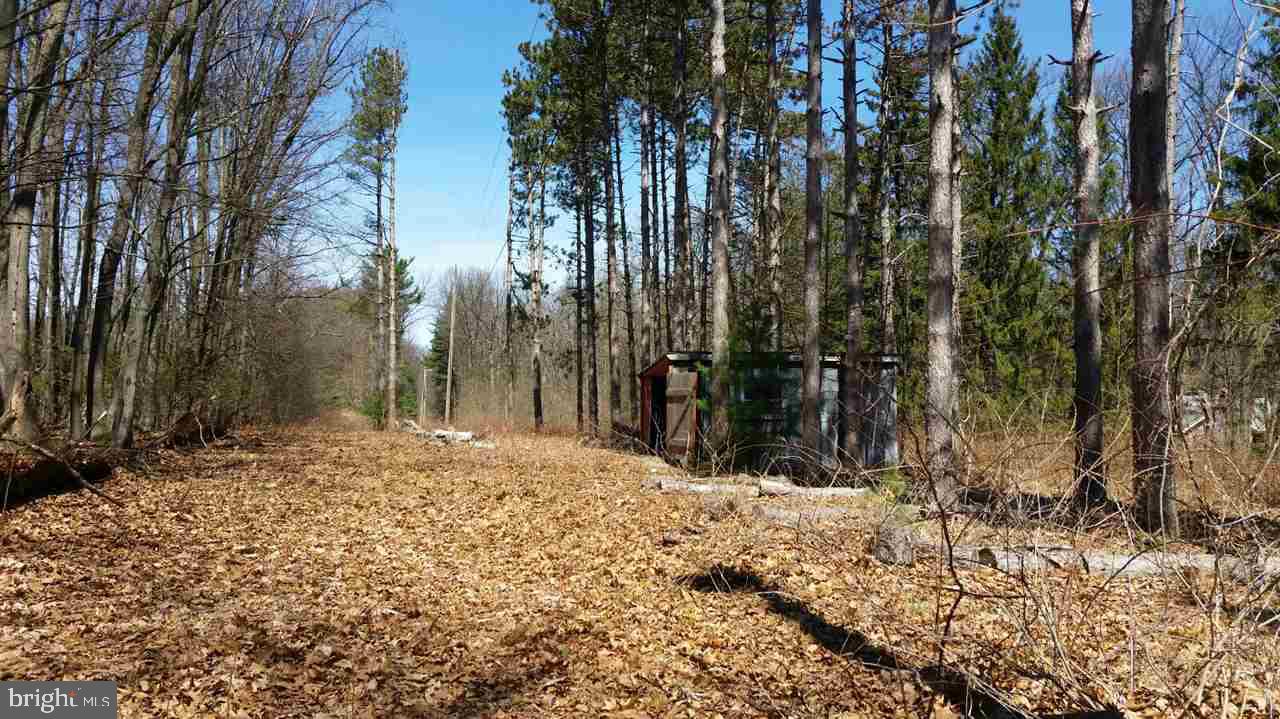 What a dream lot, ready for you to build on. Mobile home approved. Well has been tested and septic design is done. The full lot is fenced in. It is partially cleaned out and has a garage on it for storage. Such a find!!! Very beautiful landscape.