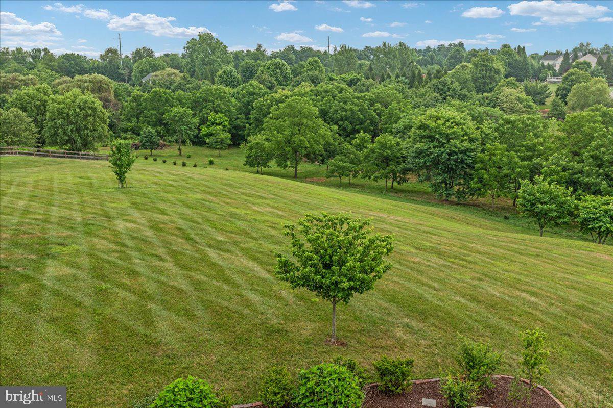 ROSE HILL - Residential