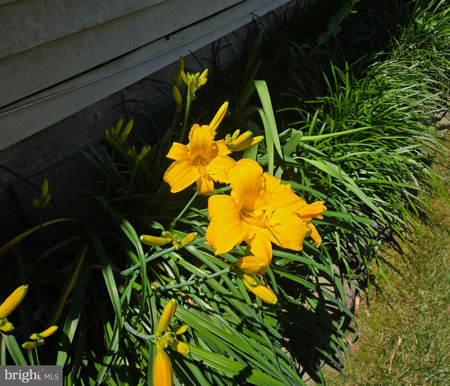 STEWARTS LANDING - Residential