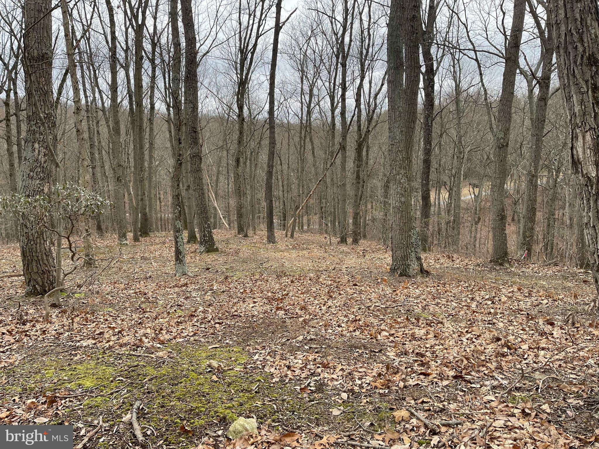 NONE AVAILABLE - Land