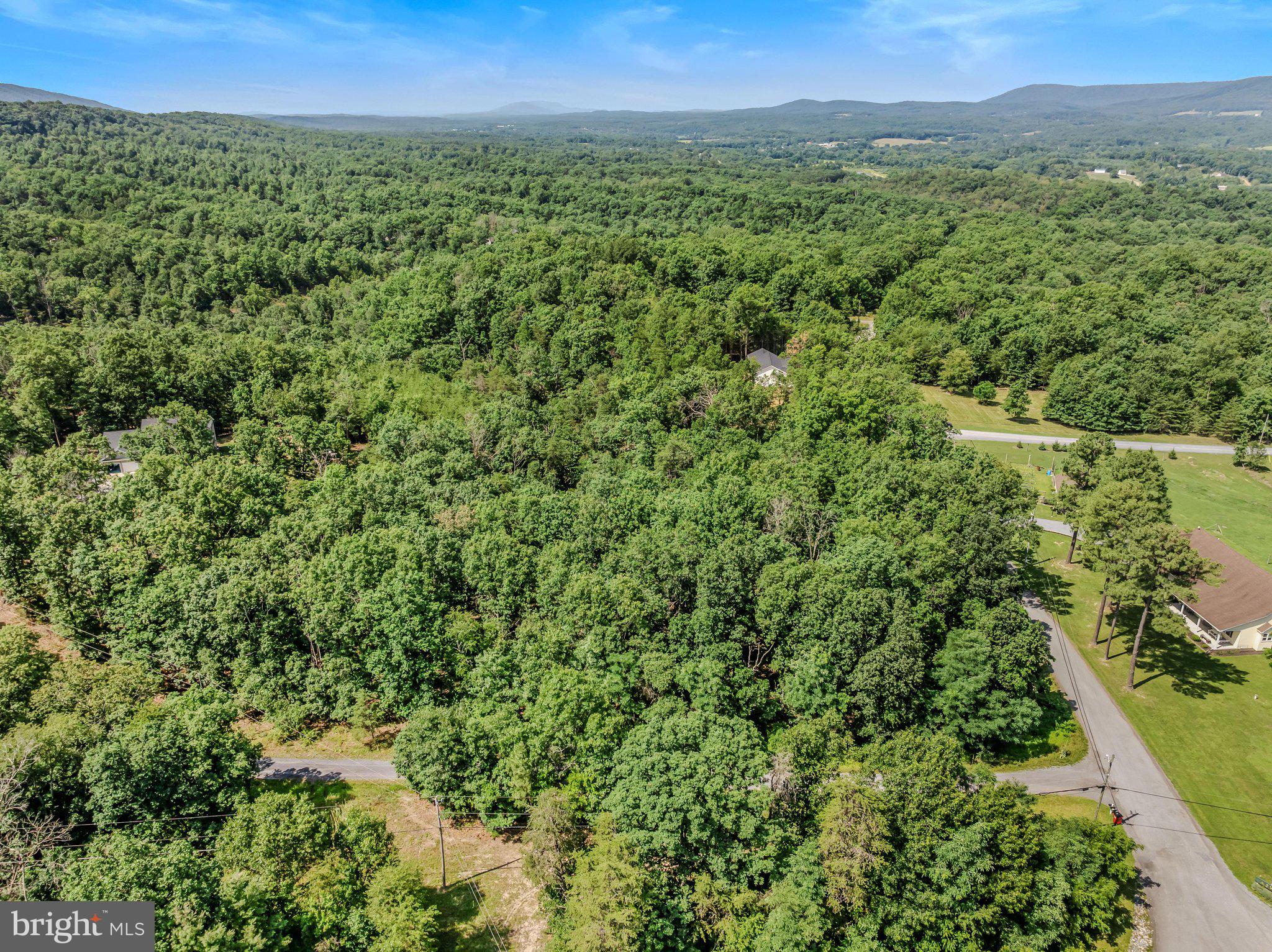 ASHTON FOREST - Residential