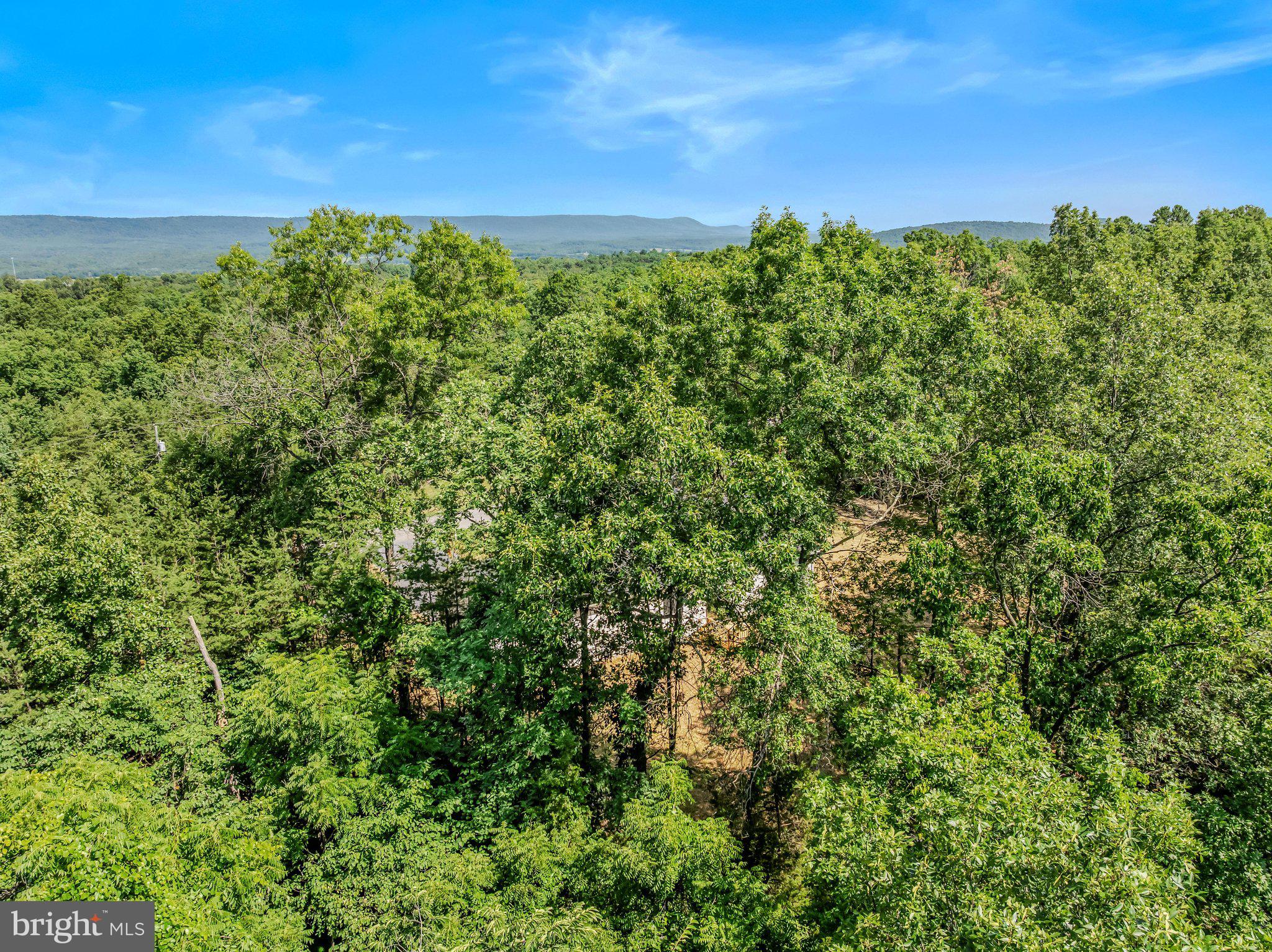 ASHTON FOREST - Residential