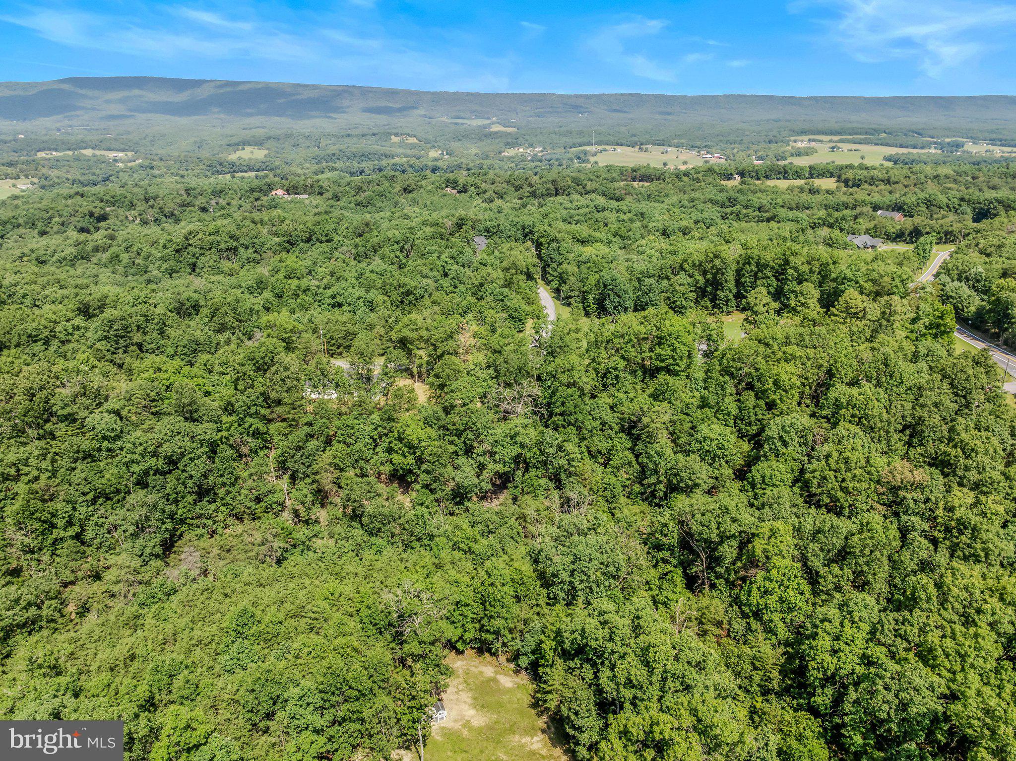 ASHTON FOREST - Residential