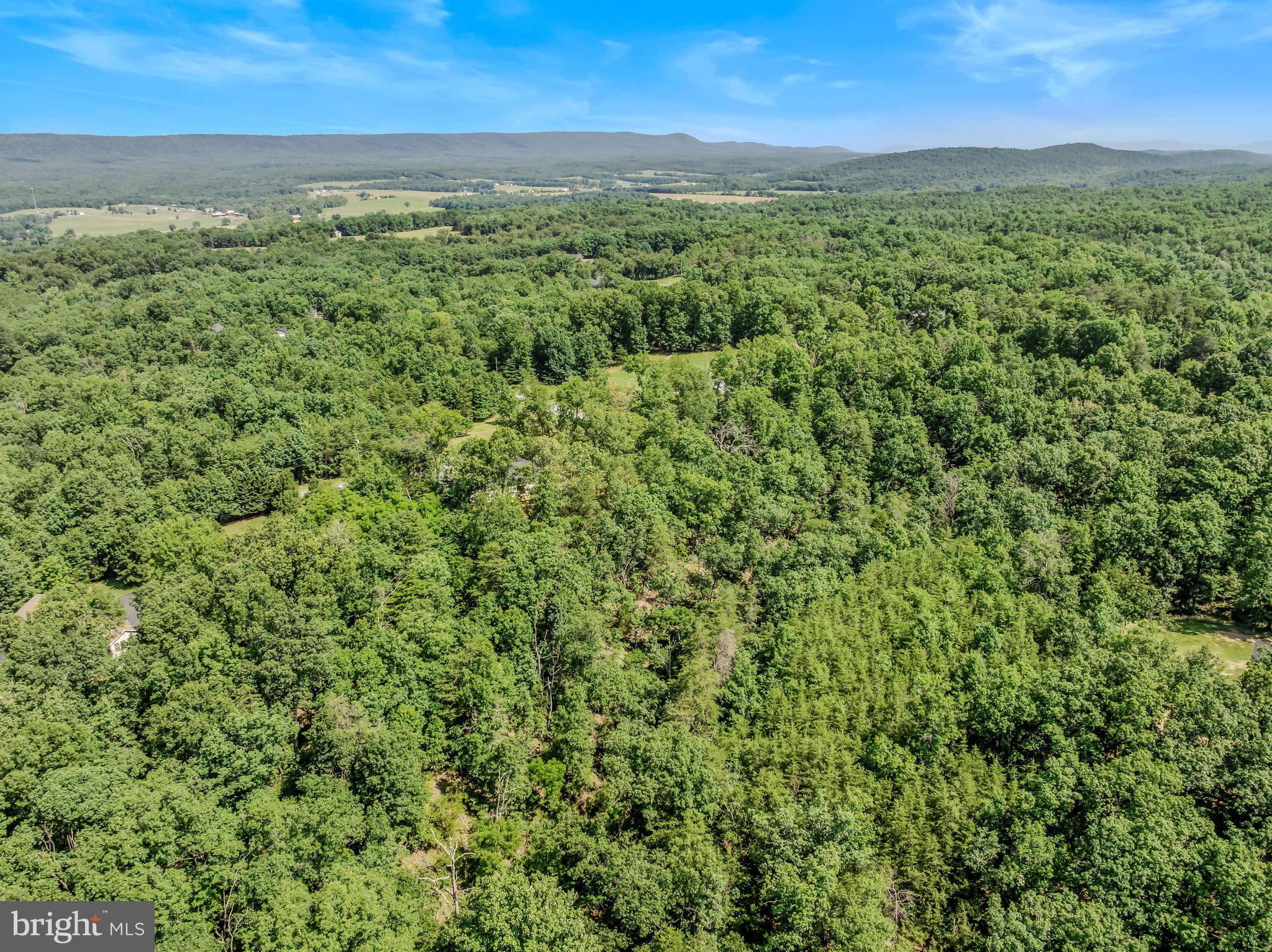 ASHTON FOREST - Residential