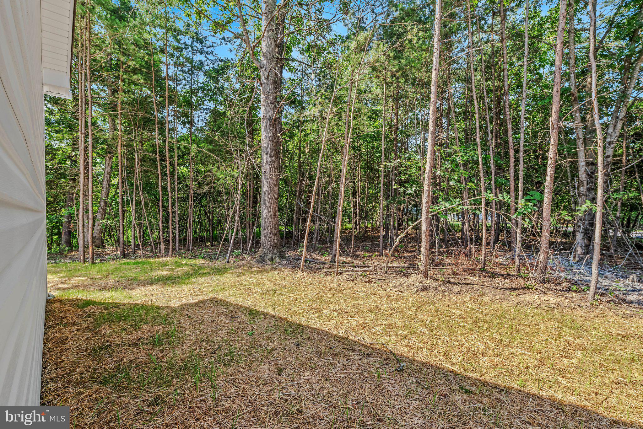 ASHTON FOREST - Residential