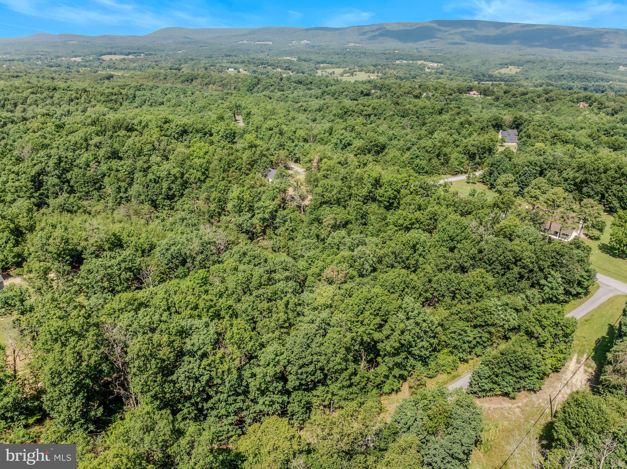 ASHTON FOREST - Residential