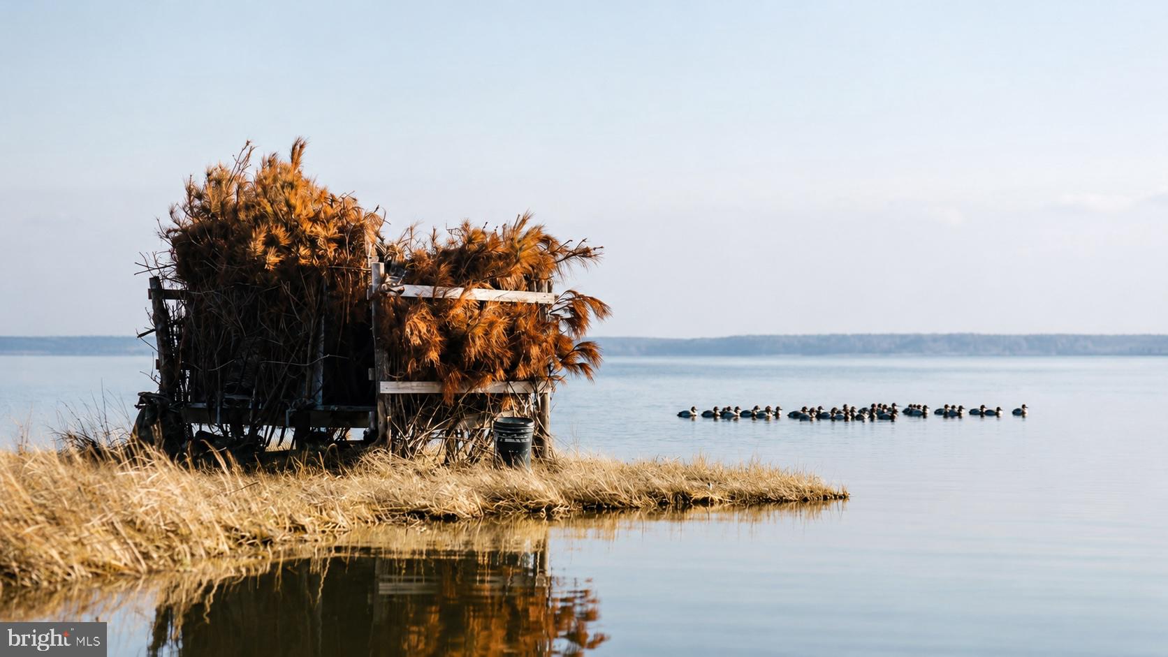 HOOPERS ISLAND - Commercial Sale