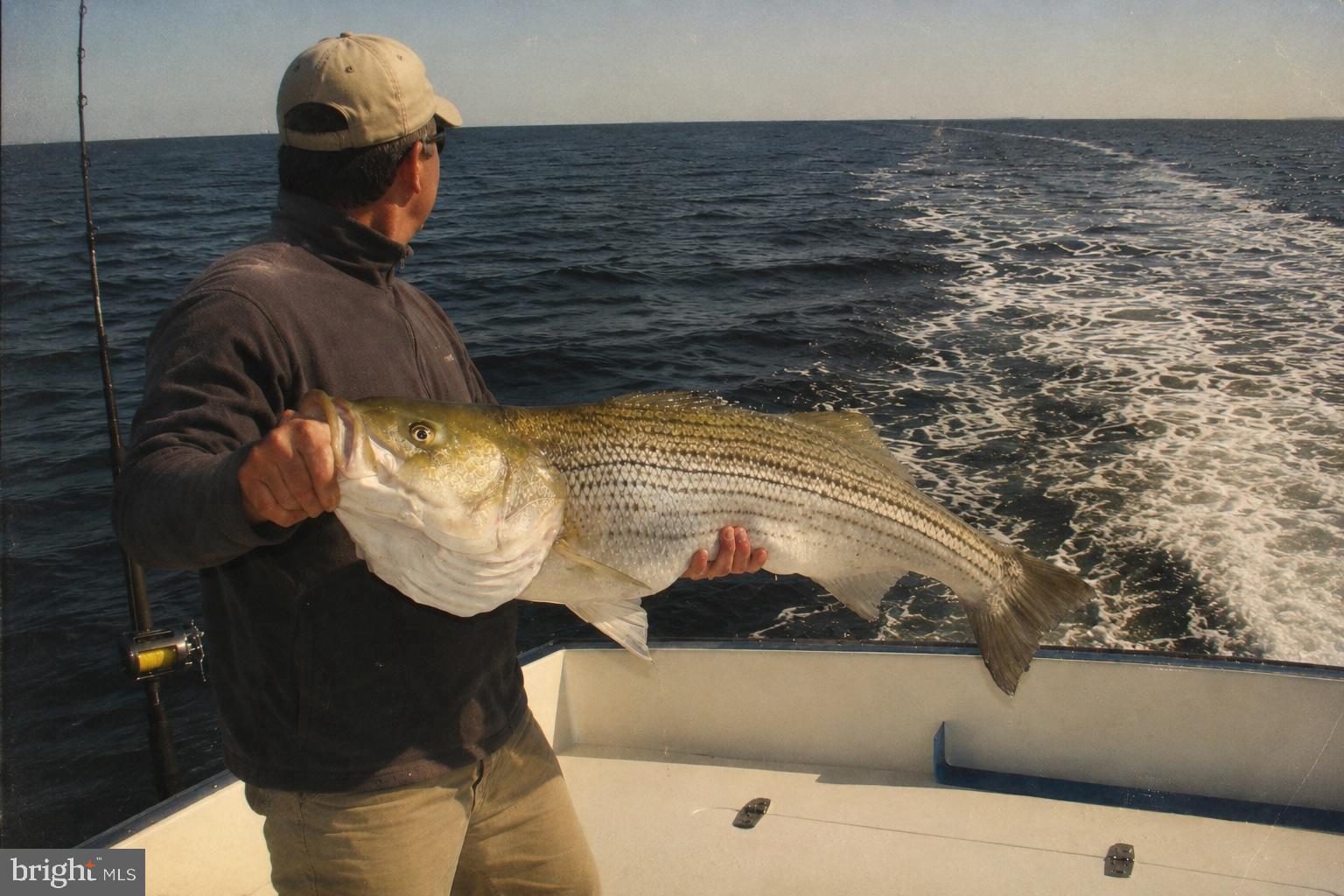 HOOPERS ISLAND - Commercial Sale