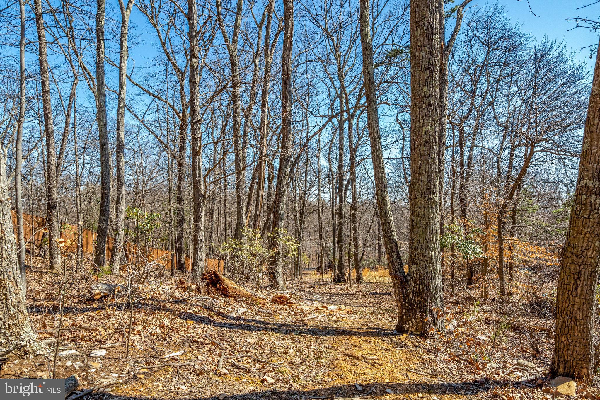 BULL RUN MOUNTAIN - Residential
