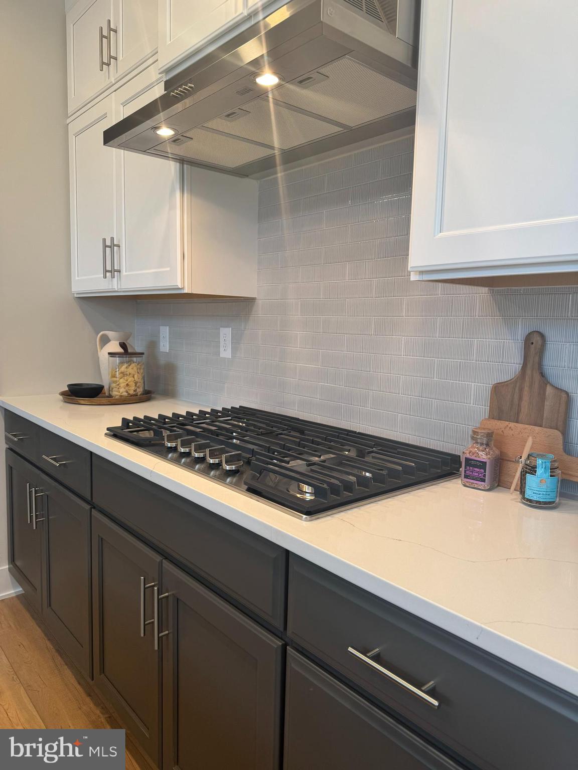 PRESERVE AT MARSH CREEK - CARRIAGE COLLECTION - Residential
