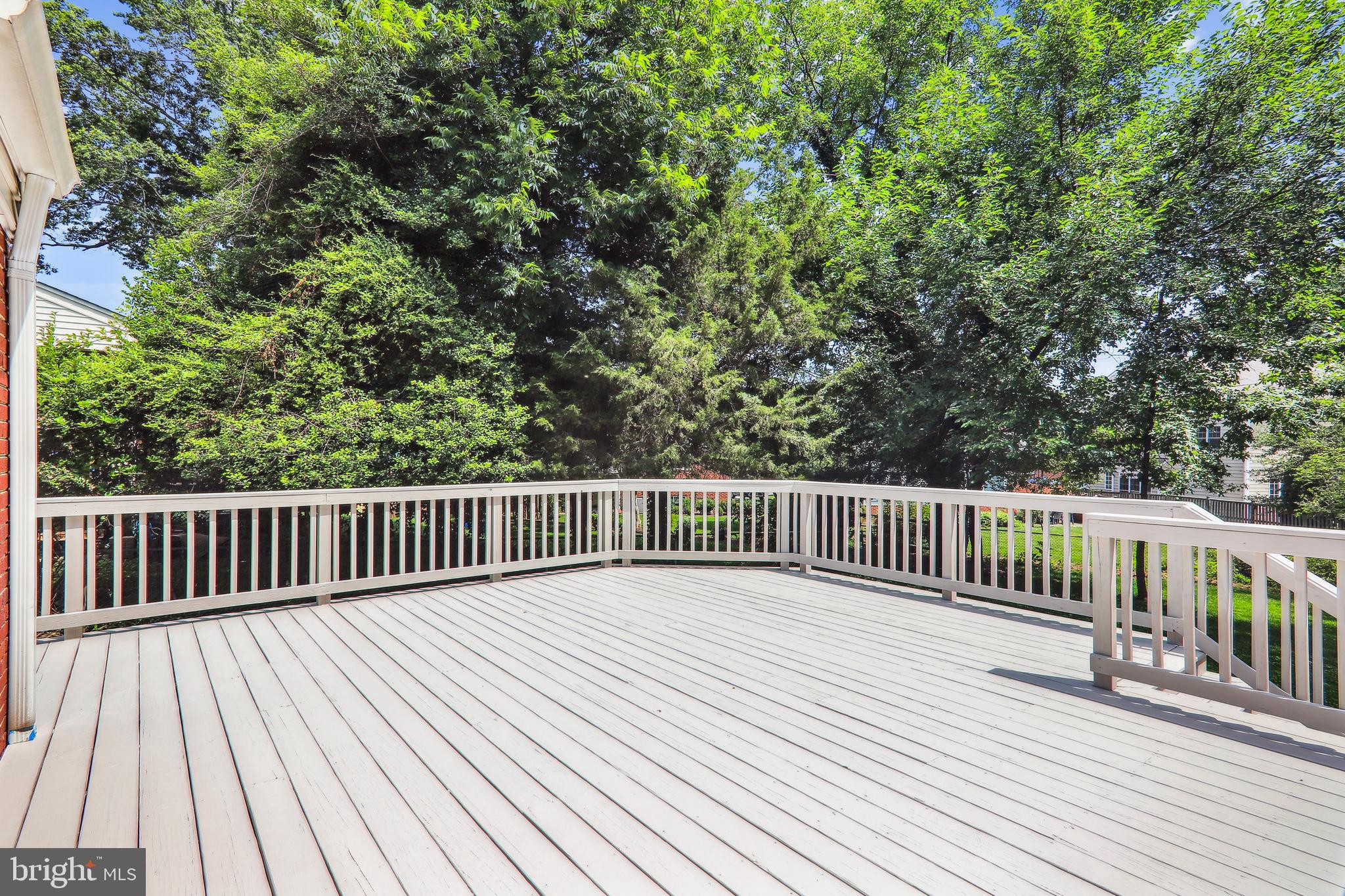 ASHBURTON - Residential Lease