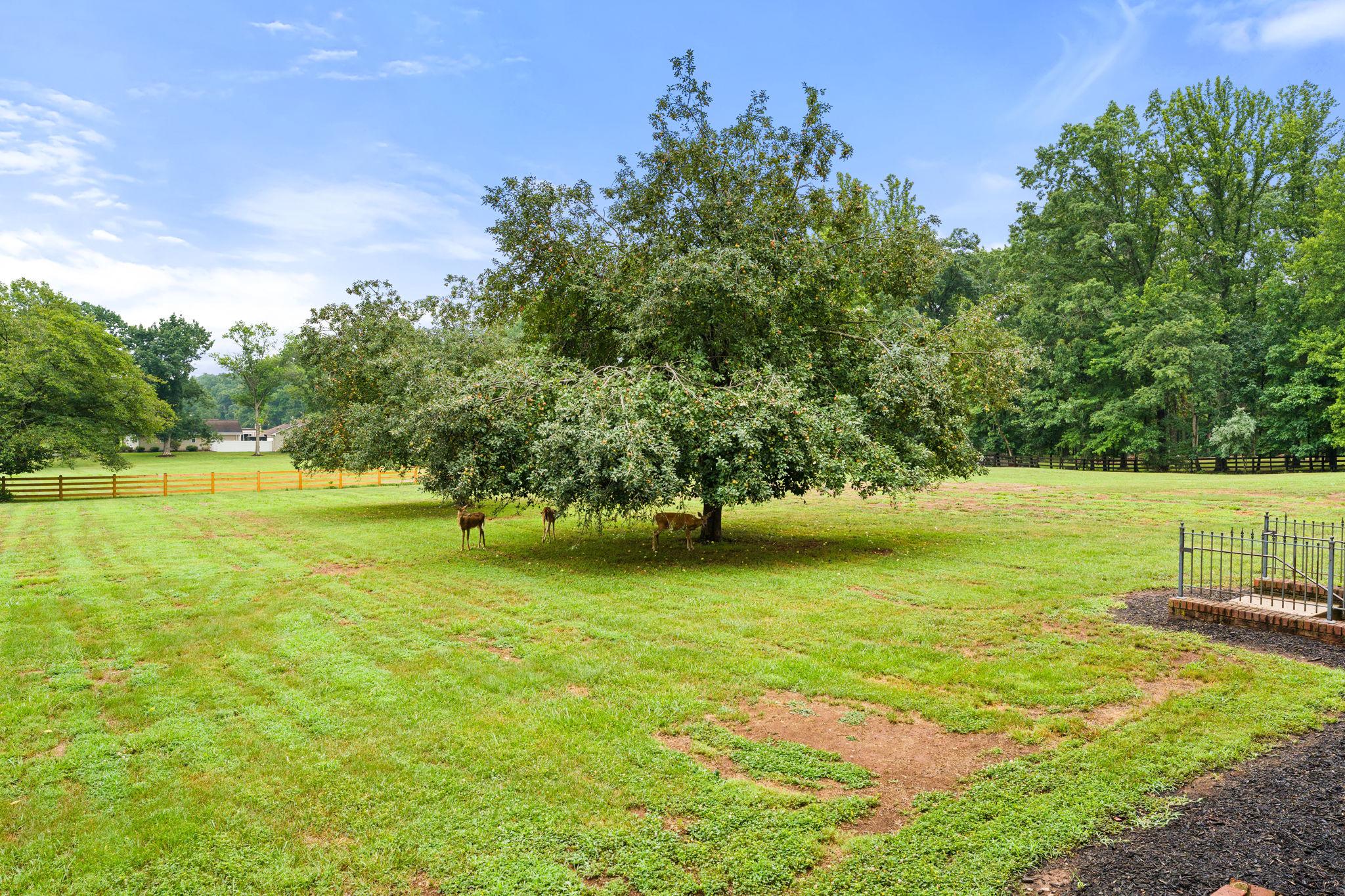 LAWNVALE ESTATES - Residential