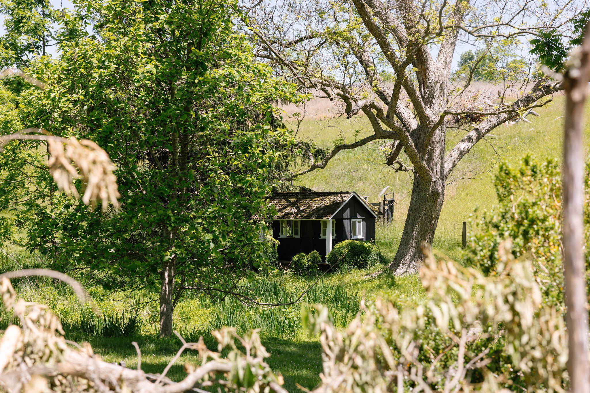 LINCOLN - Farm