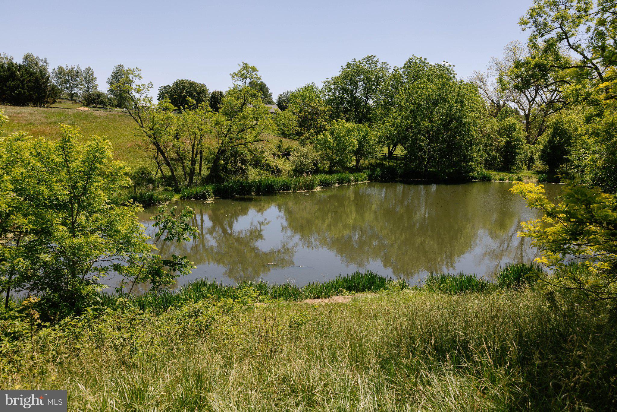 LINCOLN - Farm