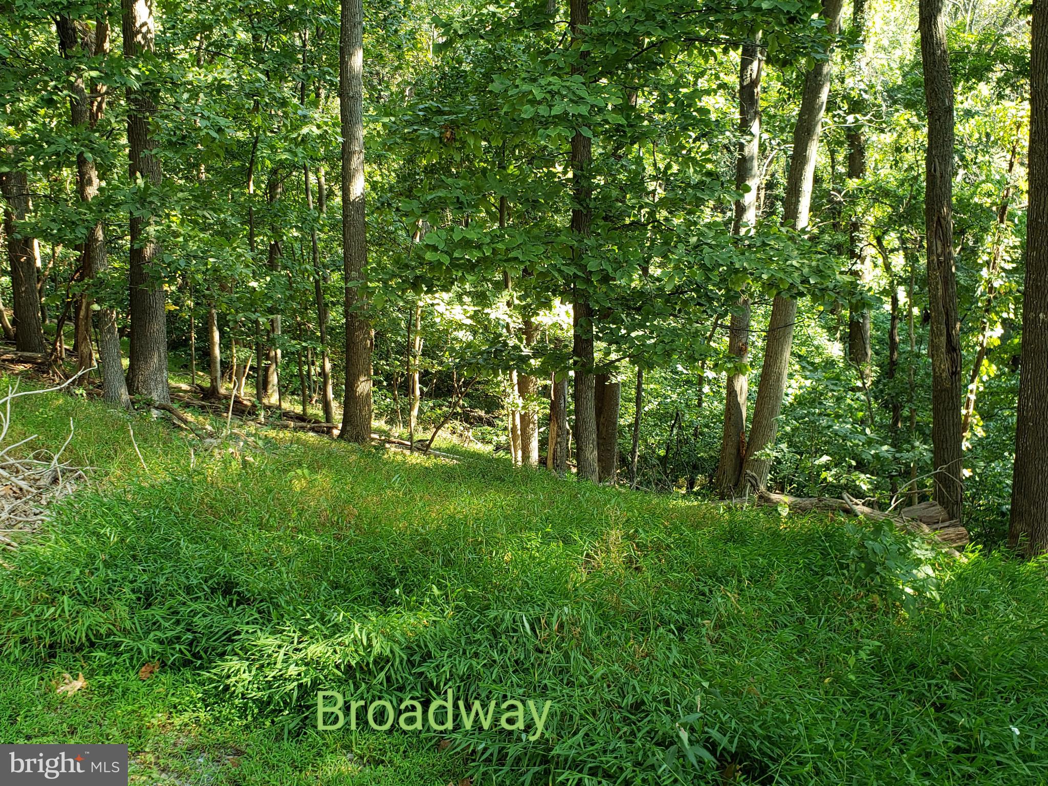 This easy sloping lot sits at the end of a peaceful culdesac, lots of  wildlife  to watch, awaiting your floor plans, lots of opportunities to fit most of your needs,  Some and see this lot for yourself..