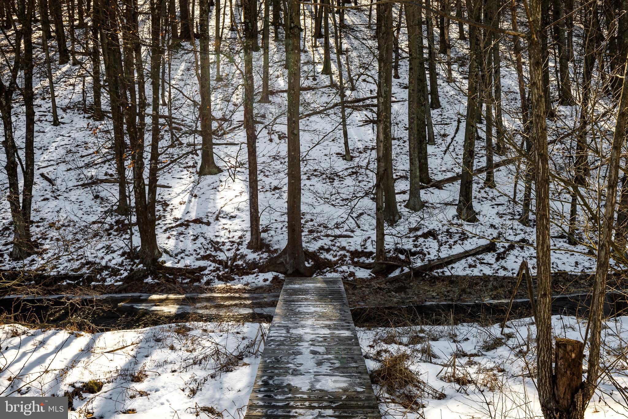 20 ACRE WOODS - Residential