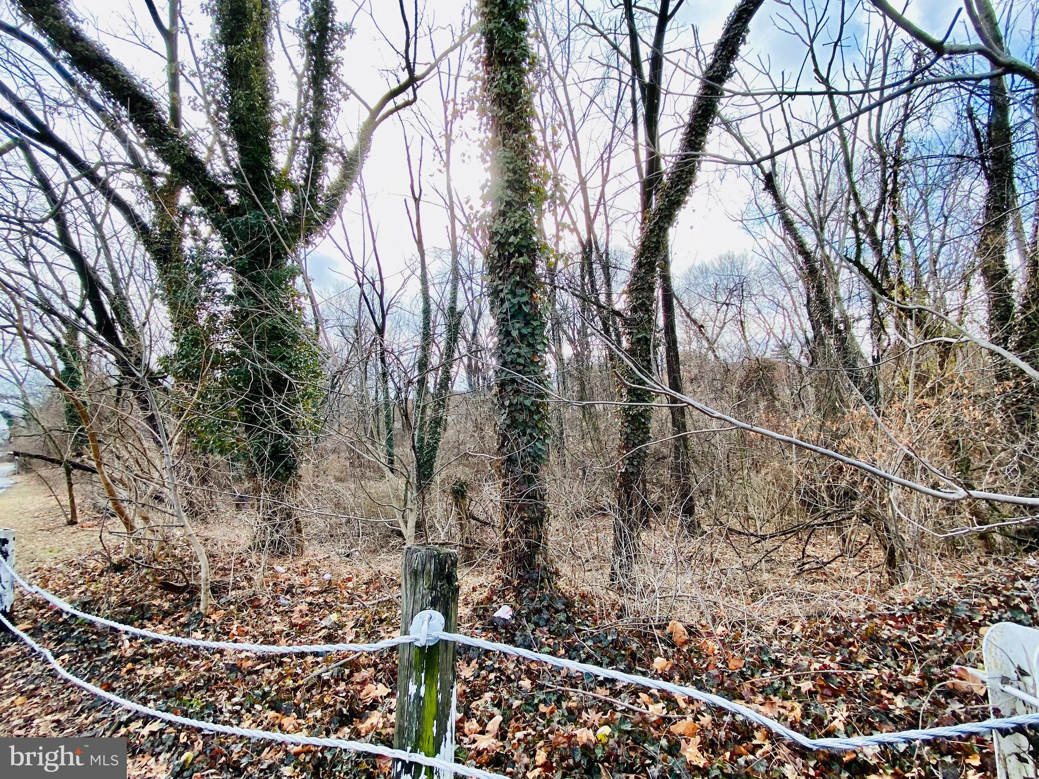 NONE AVAILABLE - Land