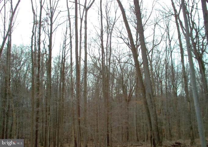 COLESVILLE OUTSIDE - Land