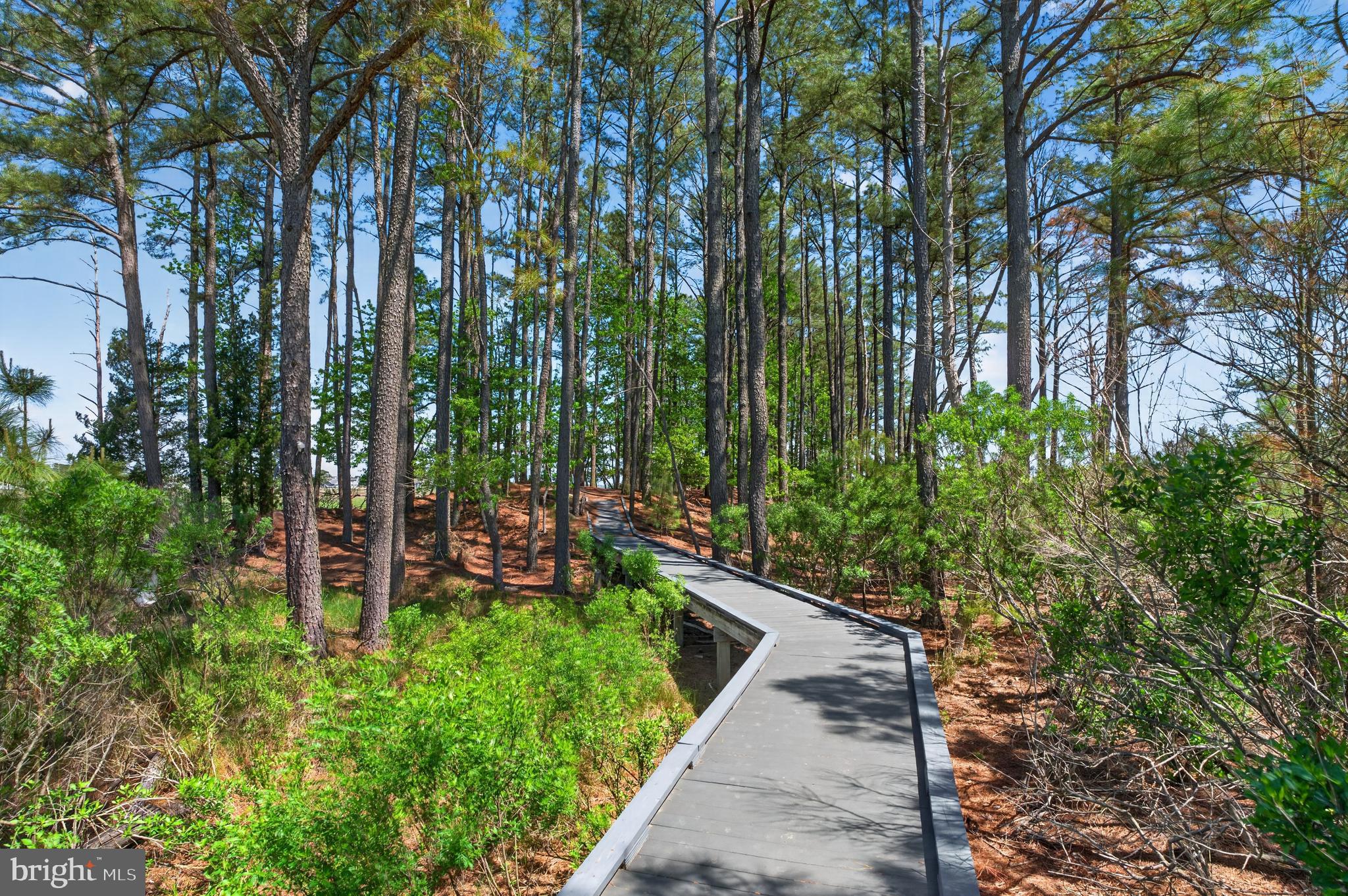 WHITE CREEK AT BETHANY - Residential