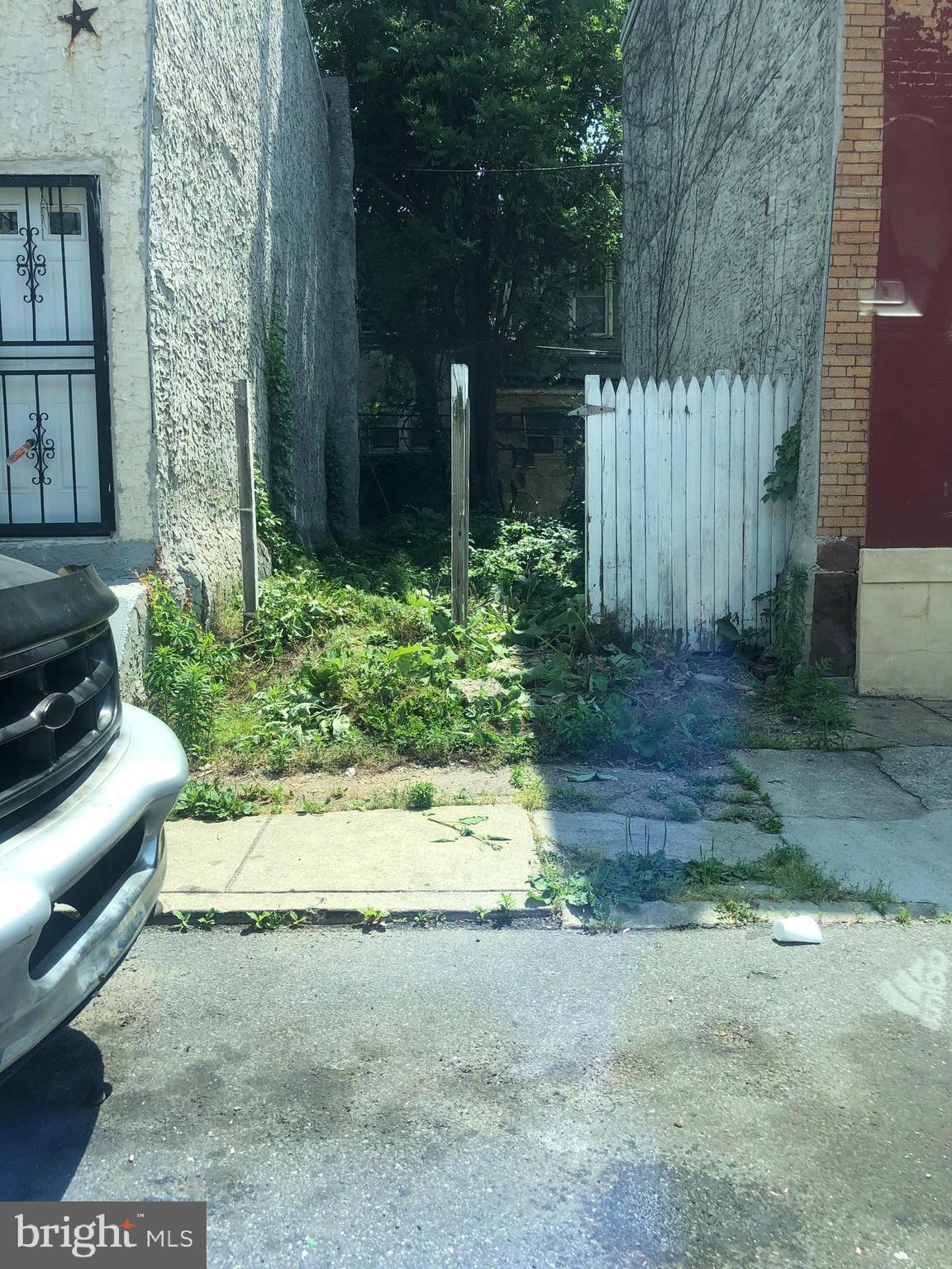 STRAWBERRY MANSION - Land