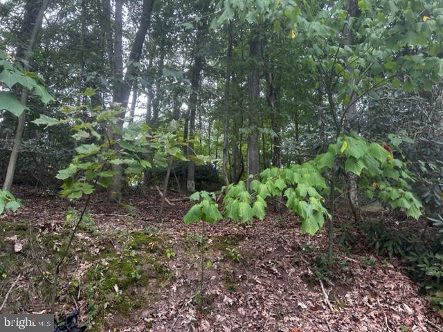 Great spot and location in Forrest Hills to build your dream house. Close to all main routes, route 61 and Gordon nagle trail. Public water and sewer available through Pottsville water and sewer. Don't miss out on this great location!