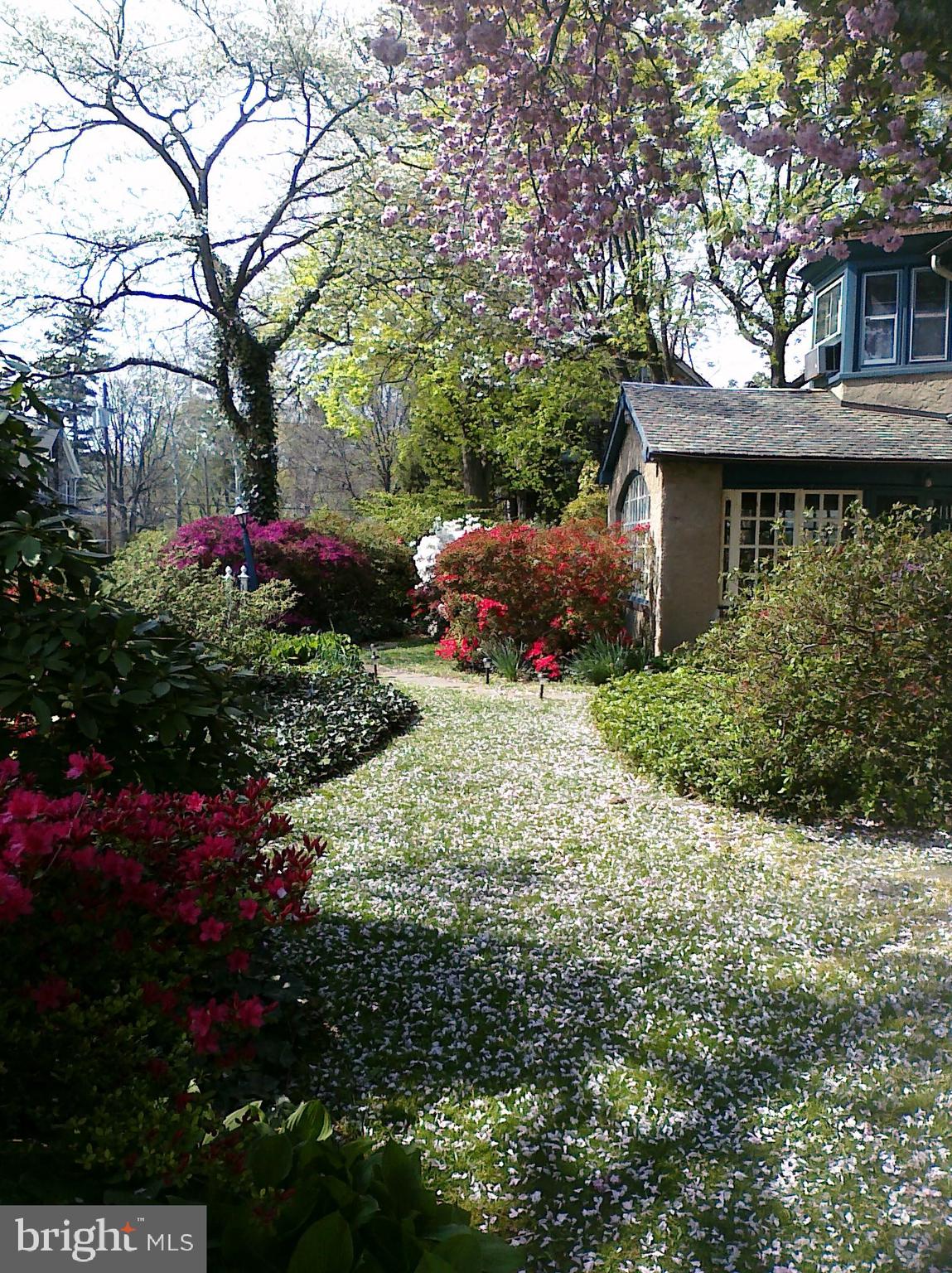 EAST FALLS - Residential