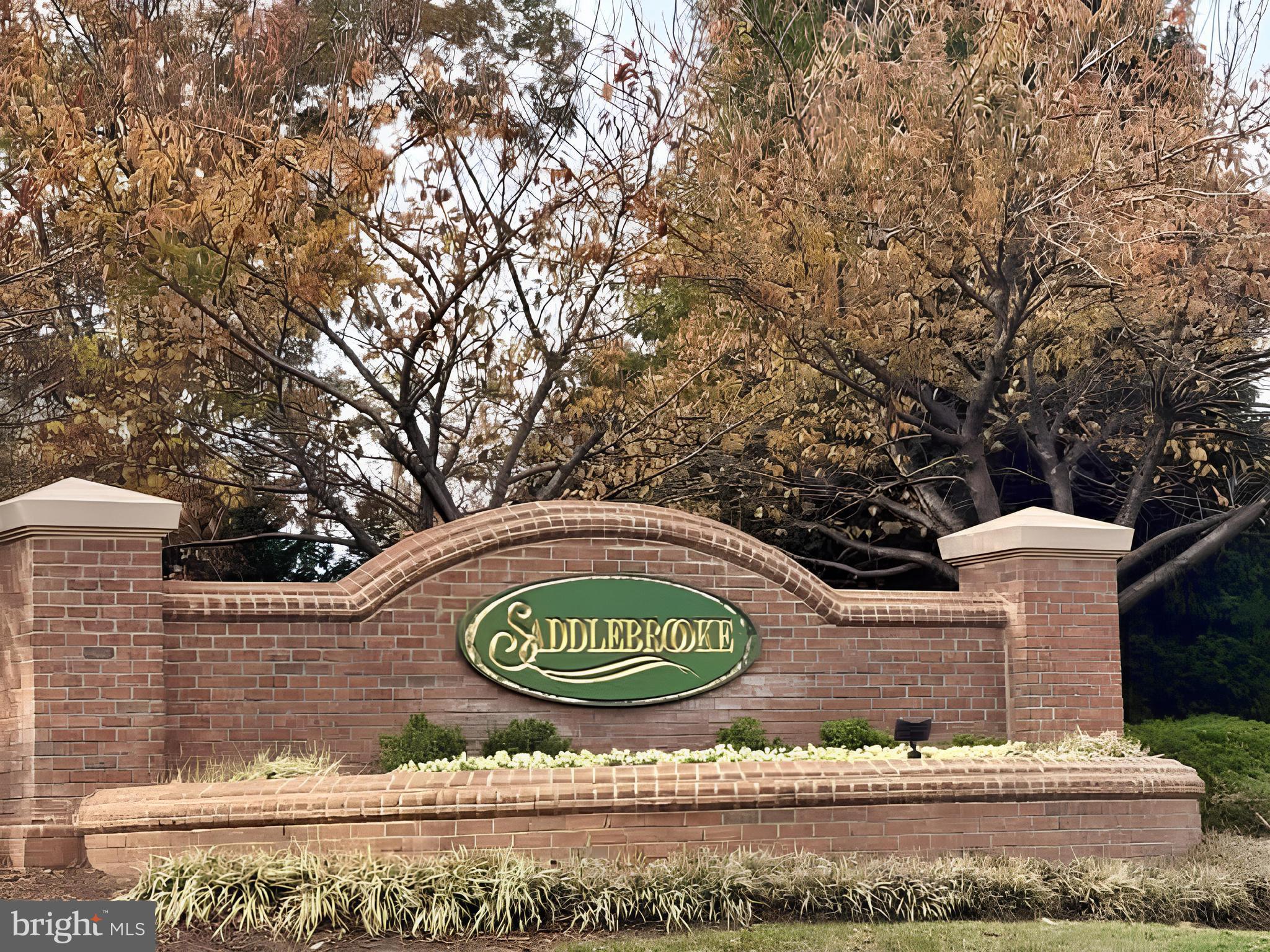 SADDLEBROOKE - Residential