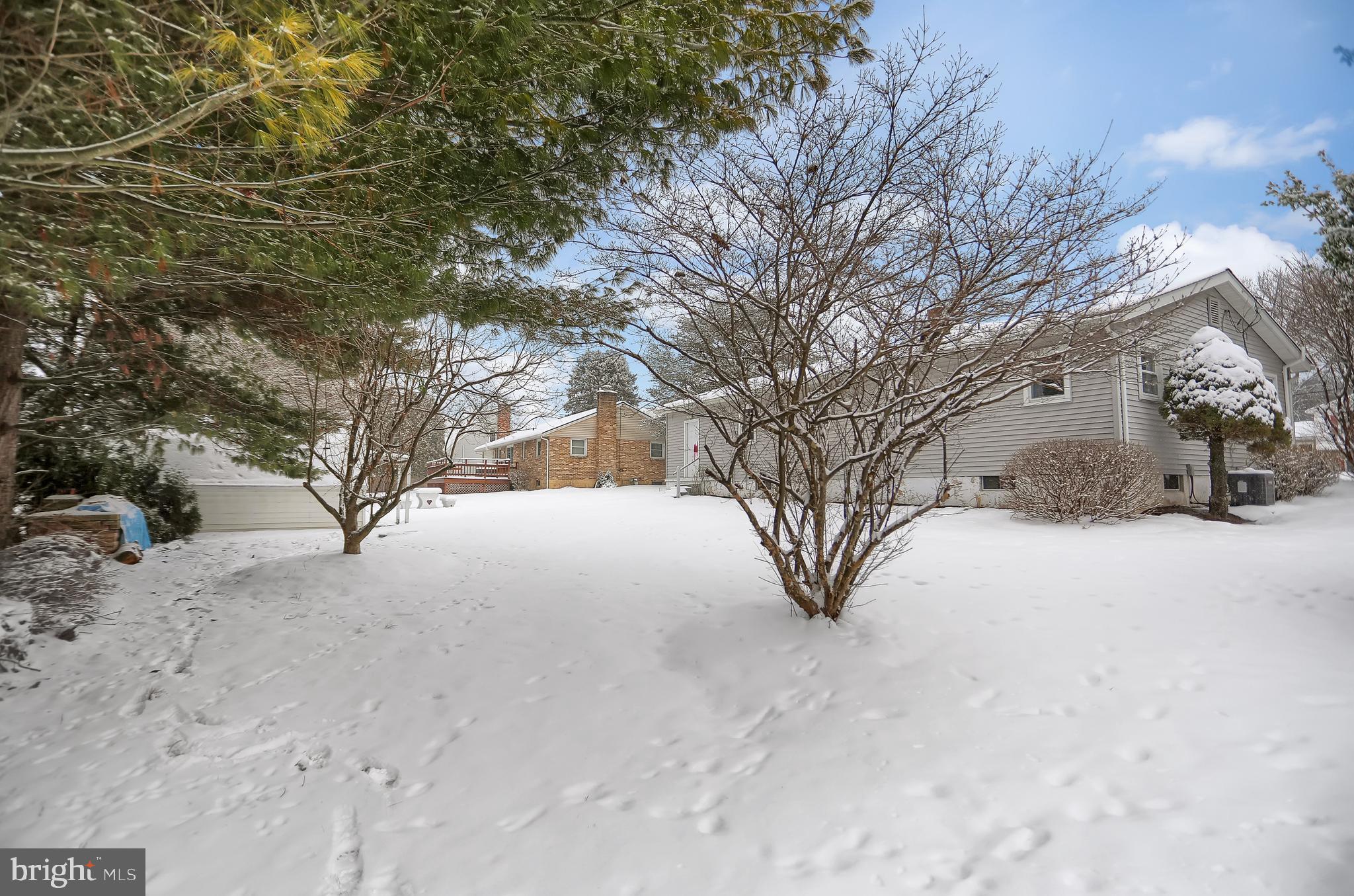 BRANDYWINE VILLAGE - Residential