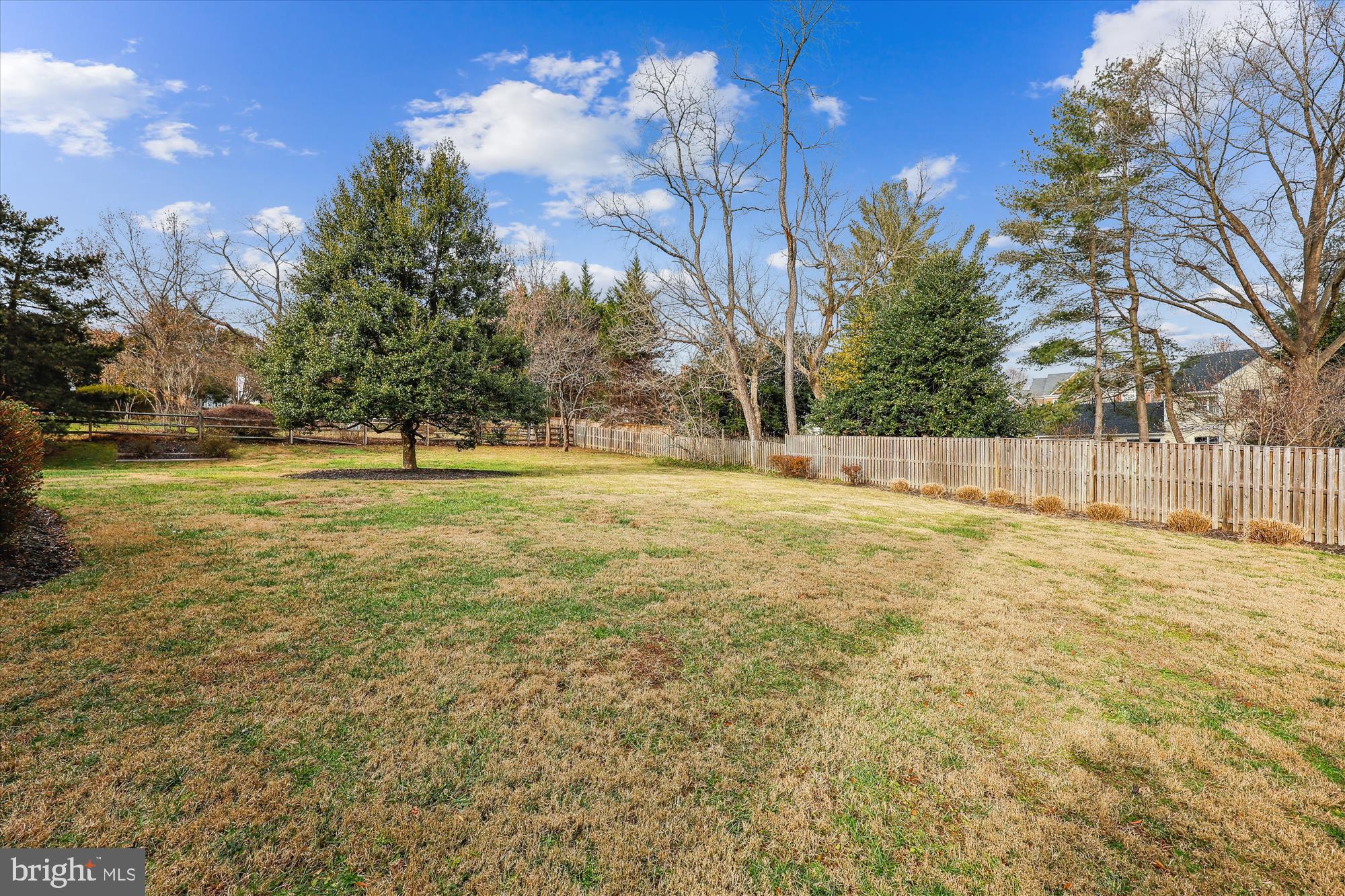 MCAULEY PARK - Residential