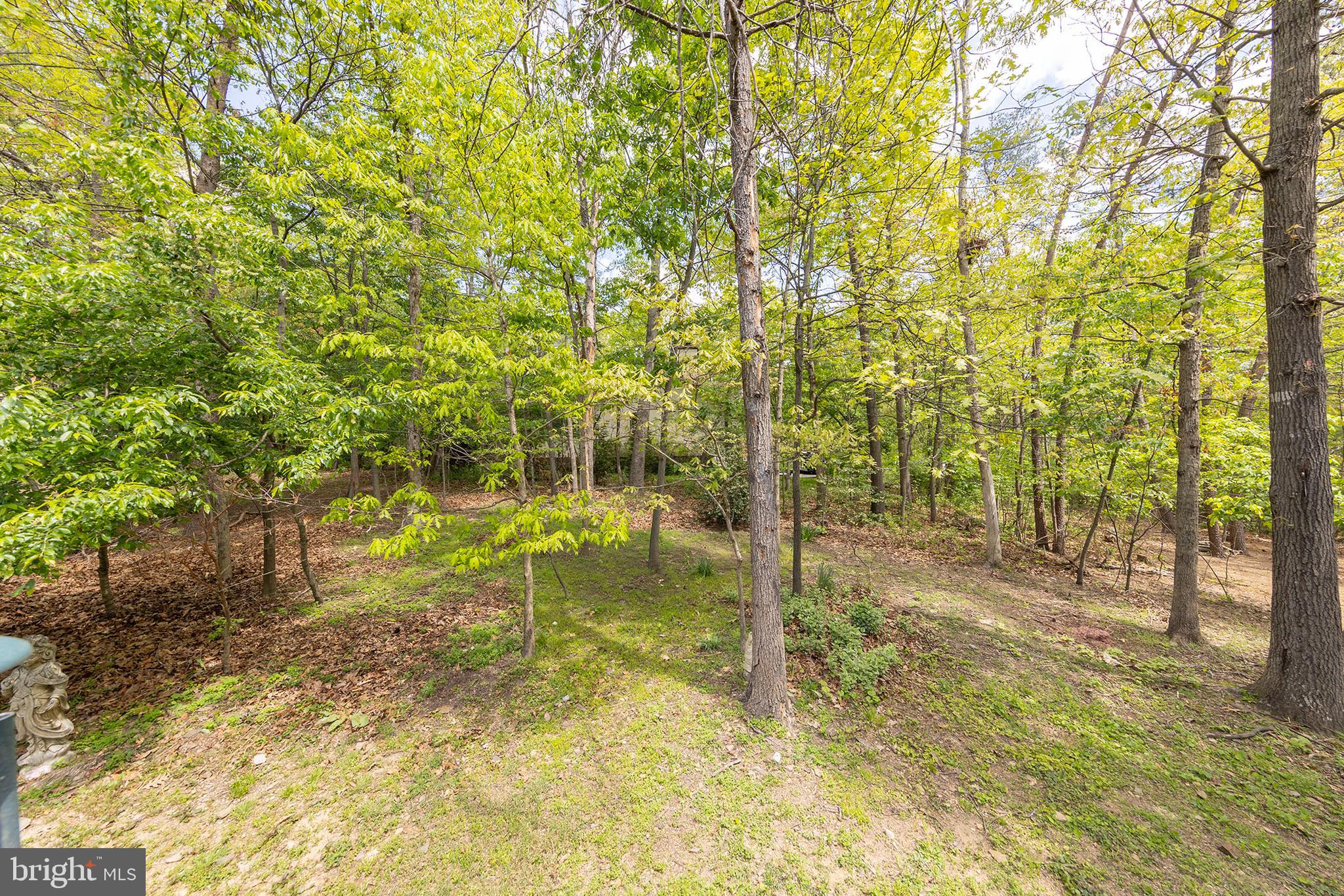 LAKE HOLIDAY ESTATES - Residential