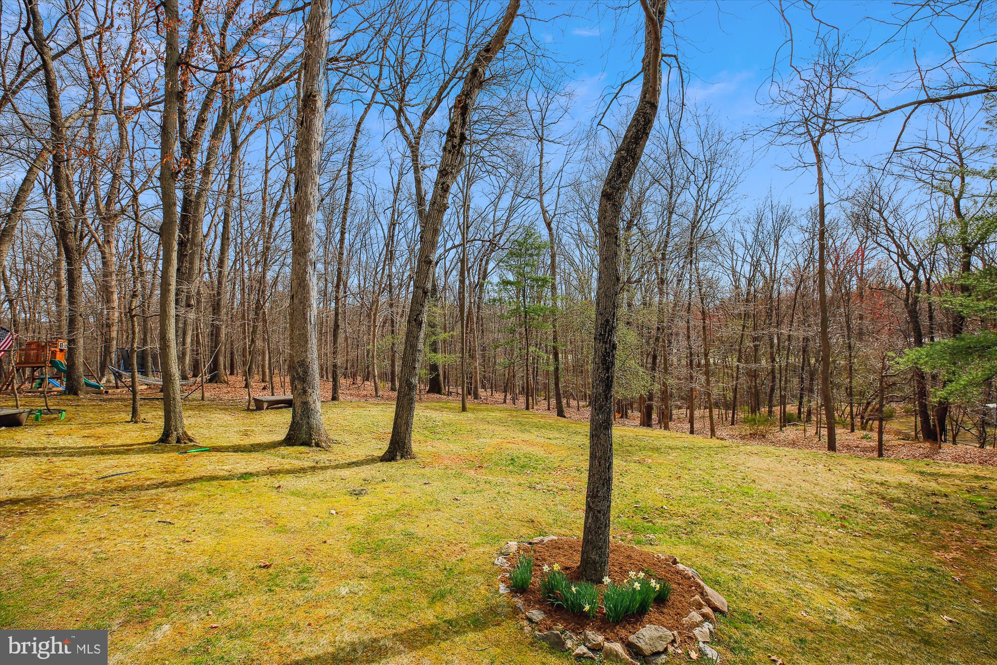 KEMP MILL ESTATES - Residential