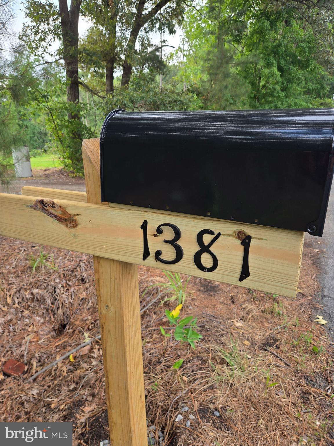 ***Professional Photos Coming Very Soon!***   Welcome home to 1381 Cabin Ridge Rd. where your completely renovated country dream is waiting for you.  Sitting on just under 3/4 acre where there's wildlife, woods, and peace and quiet even though you're close to all amenities.  With 3 bedrooms, a living room, dining room, kitchen with island, and back deck, there's plenty of room for entertaining or just sitting and listening to the birds while you have your morning coffee.  The home has been renovated and boasts new windows, doors, floors, HVAC, conditioned crawl space, granite countertops, butcher block island in the kitchen, all new stainless steel appliances, cabinets, new lighting, siding, deck, new tiled bathroom, and more!  You get the best of both worlds being in the country, but also just 20 minutes away from shopping, and just under an hour away from the resort area beaches.  To top it all off, the home is within the Caesar Rodney school district and Delaware Coop's electric service area!  It's win, win, win with this home!