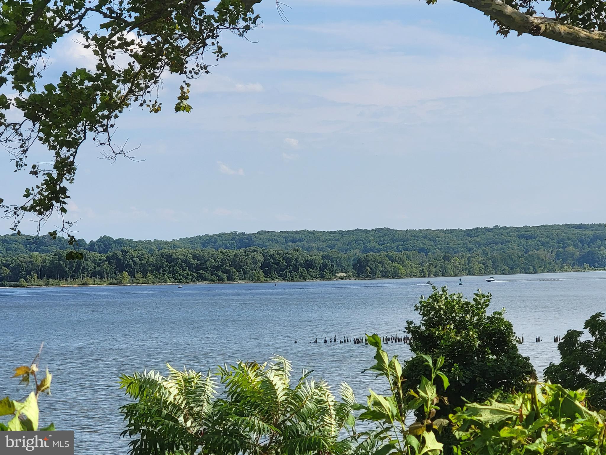 WAYNEWOOD - Residential