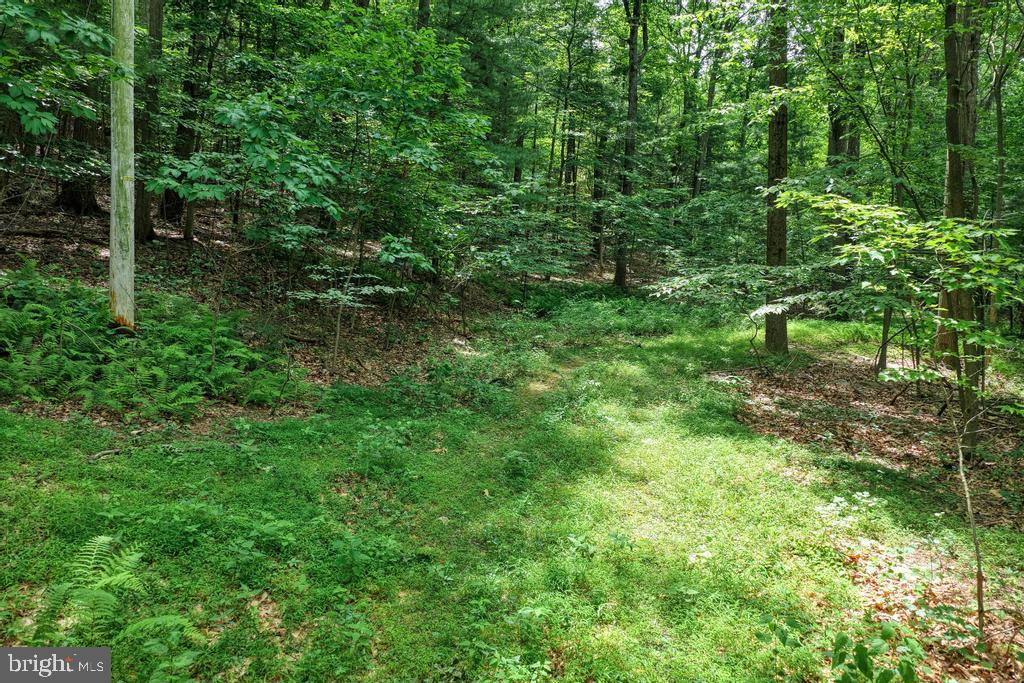 BEAR MTN HOA - Residential
