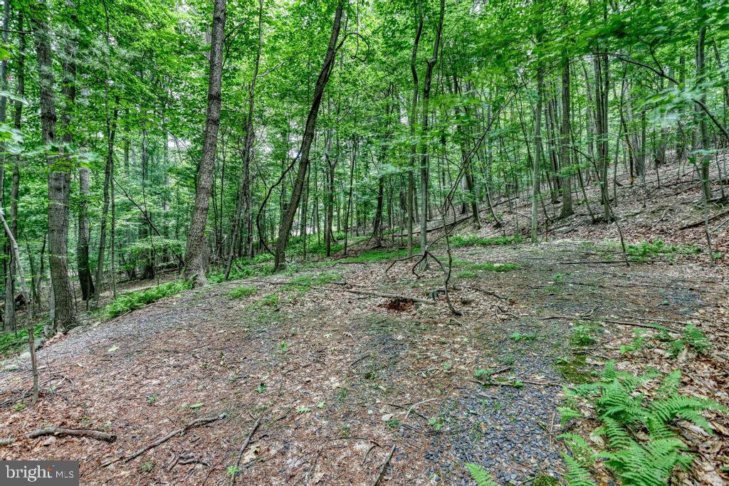 BEAR MTN HOA - Residential