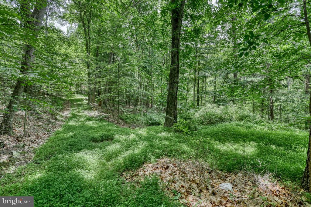 BEAR MTN HOA - Residential