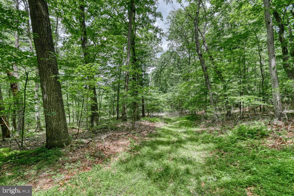 BEAR MTN HOA - Residential