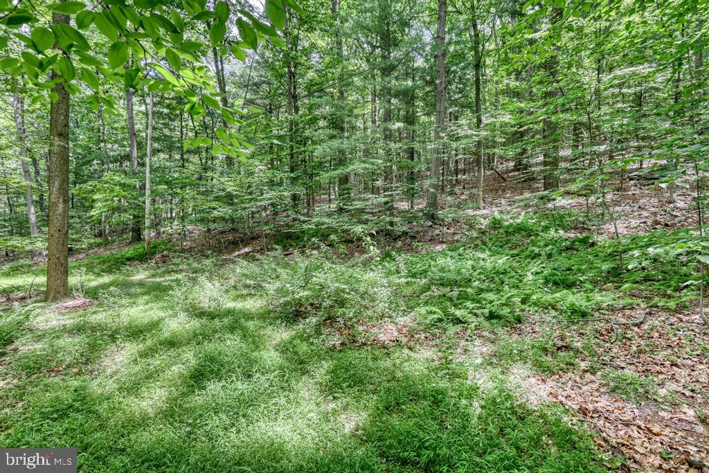 BEAR MTN HOA - Residential