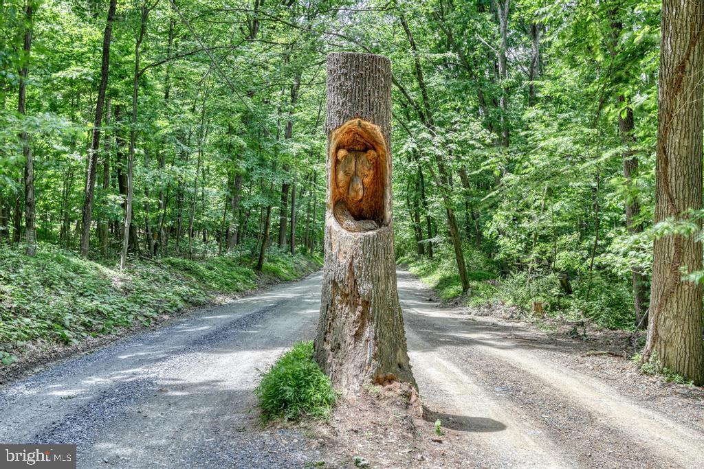 BEAR MTN HOA - Residential