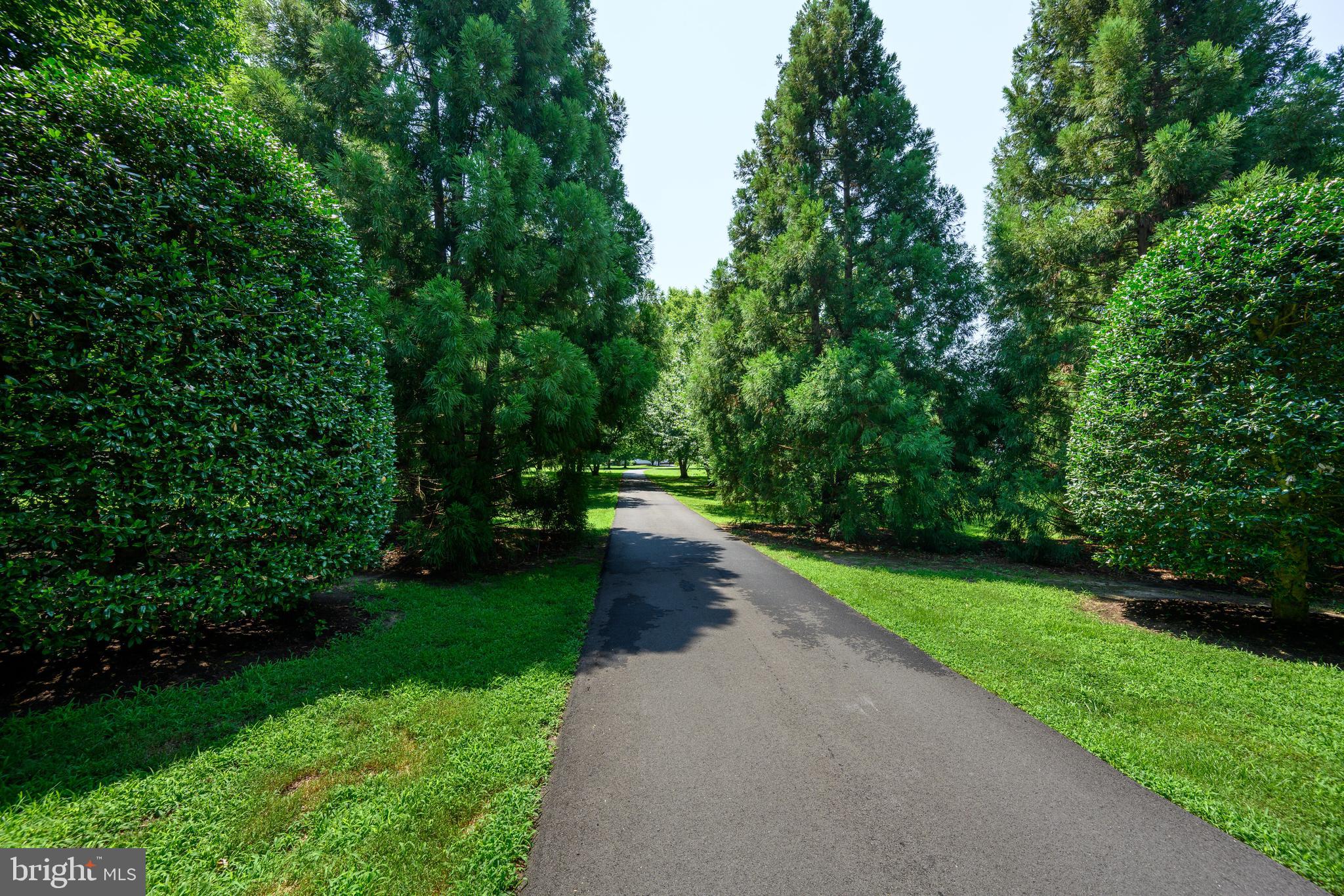 BAILEYS POND - Residential