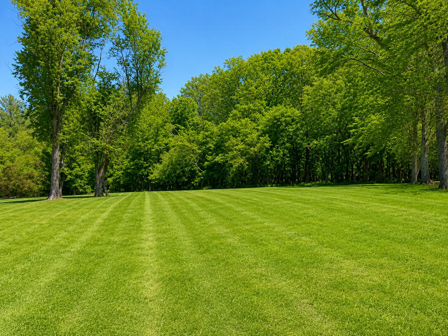 OLNEY OUTSIDE - Residential